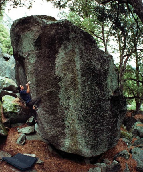 Wills Young on Bruce Lee &#40;V8&#41;.