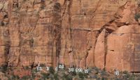 Beehives - Spicy Flakes 5.10+ - Zion National Park, Utah, USA. Click to Enlarge