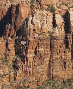 Carbuncle Buttress - Risk Management III 5.10+/11- A0 - Zion National Park, Utah, USA. Click to Enlarge