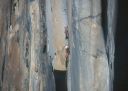 Yosemite Wall Climbing Photos - Click for details