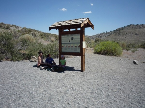 Our little island of paradise in a sea of heat. Perfect picnic spot.