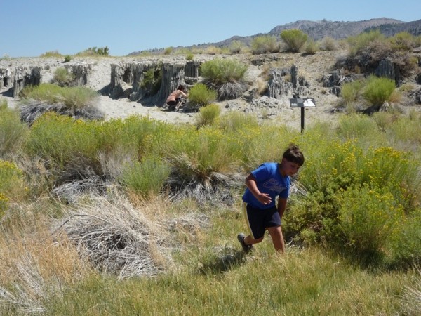 Chillin' at the beach on the south side of Mono Lake.