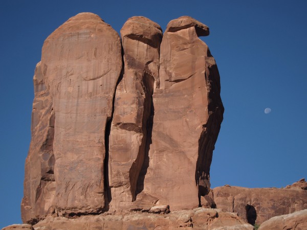 The 3 Penguins and the setting moon