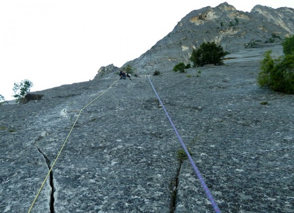 looking up the second pitch of Harry Daly