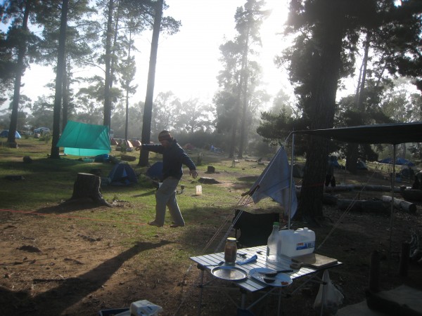 love camping in the pines