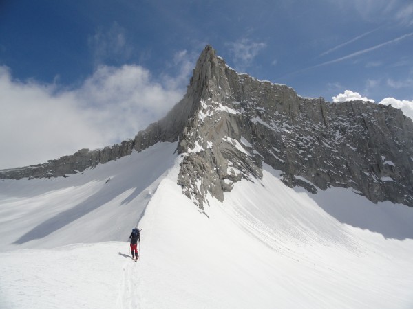 Nick at Horn Col.