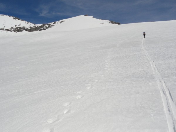 Following bear tracks to Pterodactyl Pass.