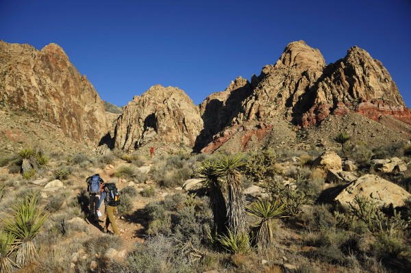 Black Velvet Canyon