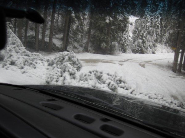 Downed tree blocking much of the road - drove over the top of it  - 4/...