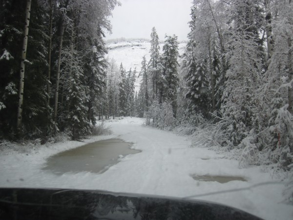 Put chains on all 4 wheels of the Durango and felt my optimism return ...