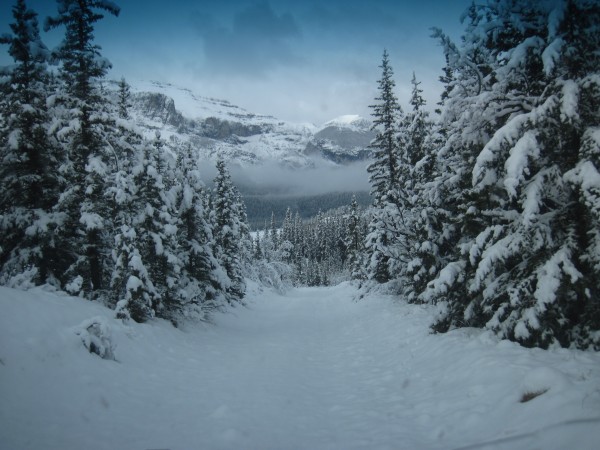 Heading down the Big Hill - Ghost River Valley adventures and ice beck...