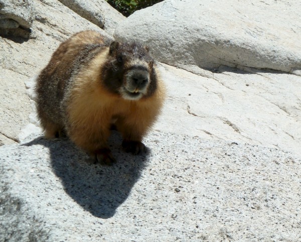 This guy had a lot of rude things to say about my belaying, choice of ...