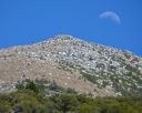 Climbing and Birding in the Eastern Sierra - Click for details