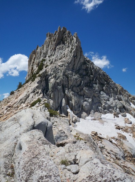 Looking back on The Cockscomb