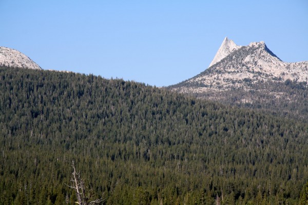 Cathedral morning from Lembert Dome....