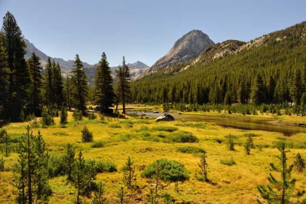 McClure Meadow