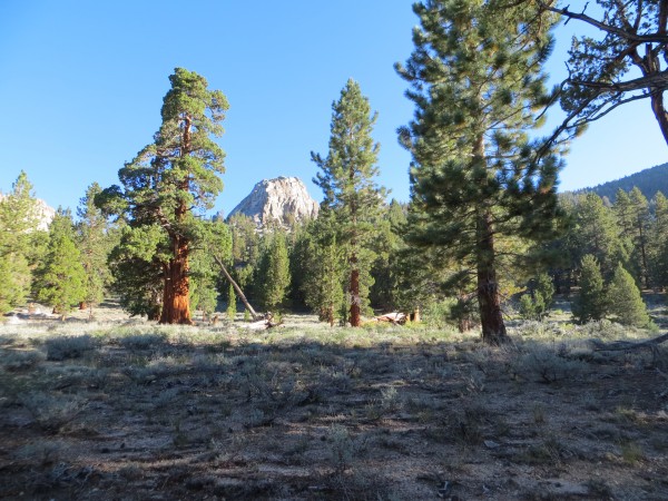 An Infant Butte