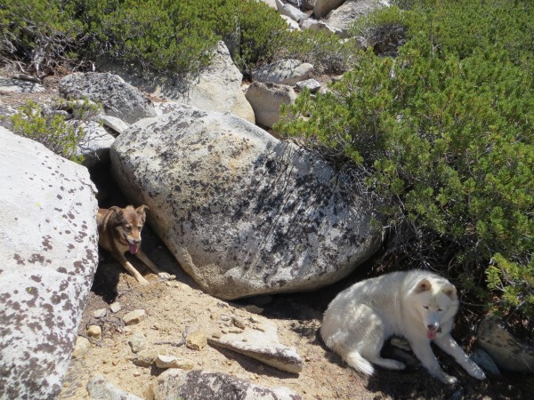 Mother Rowan &#40;white&#41; and her daughter Adu