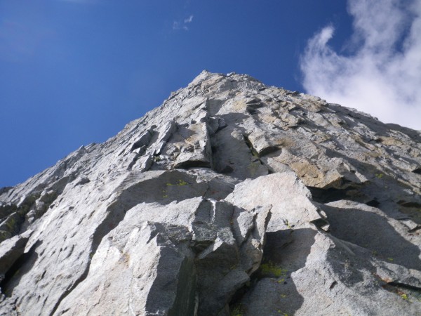 Looking up first pitch