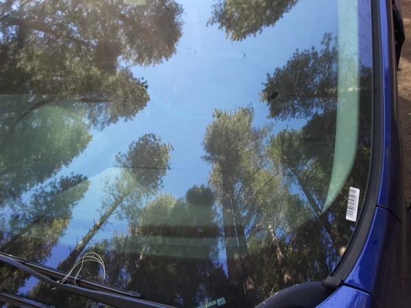 I know it's a car windshield, but it's the closest picture I have to w...