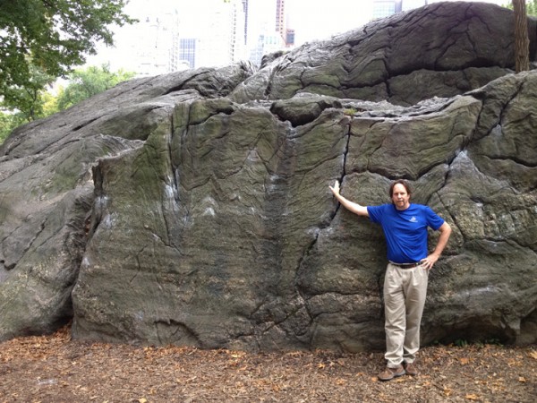 Spider at Rat Rock, Central Park, Manhattan, New York City