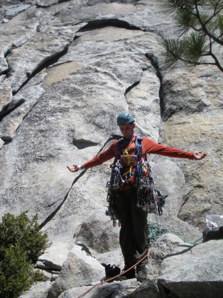 Climber or a Christmas Tree?