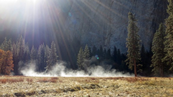 Frost on El Cap Meadow