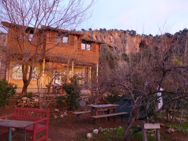 The climber's garden in morning light