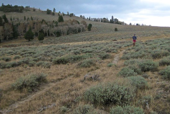 Great Basin NP