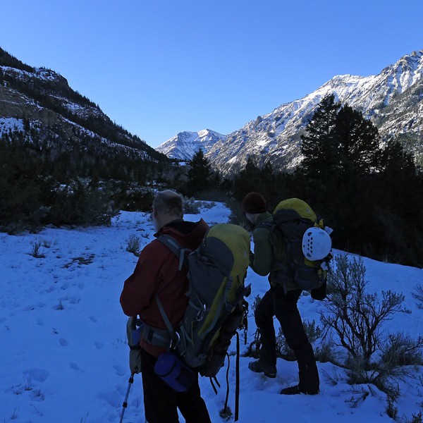 BMcC and rhyang stopping for orientation, and shedding of layers