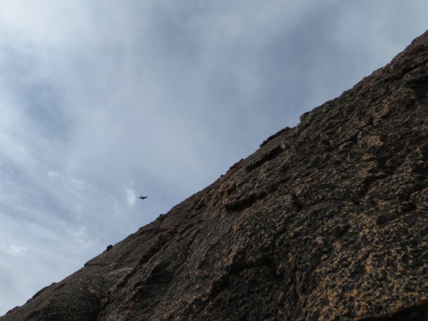 This falcon buzzed the belay within a few feet of touching. Swooooosh!