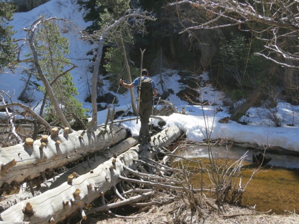 The log crossing