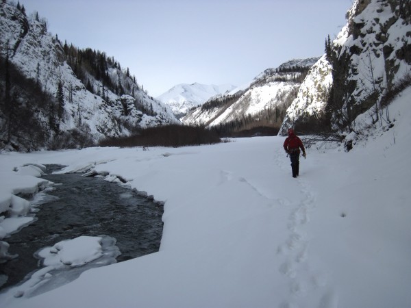 Took a break in our drive to Valdez to climb ice in a narrow side gull...