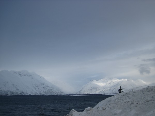 Looking across the Valdez Bay.