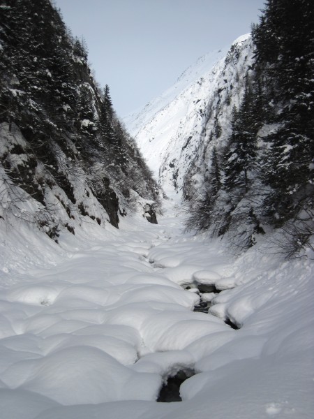 Bear Creek Canyon.