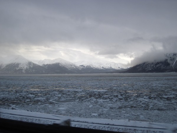 Toured the Turnagain Arm of the Cook Inlet before my flight home on Su...