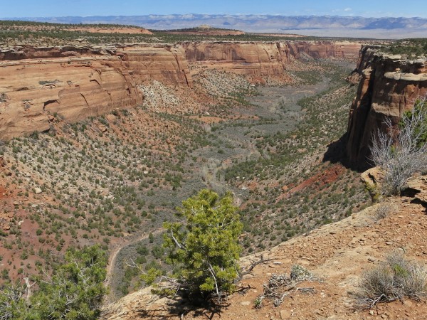 Ute Canyon - a nice hike on a cool day