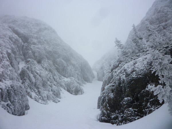 Looking up the lower gully