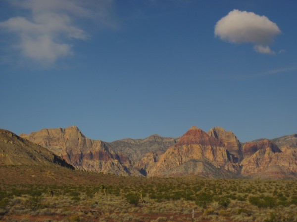 With the rain, one could sense that the desert was going to bloom soon...