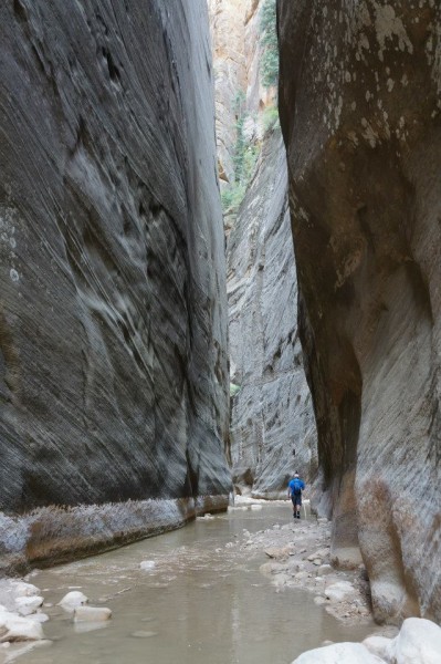 You have to remember to look up. We spent a lot of time following the ...