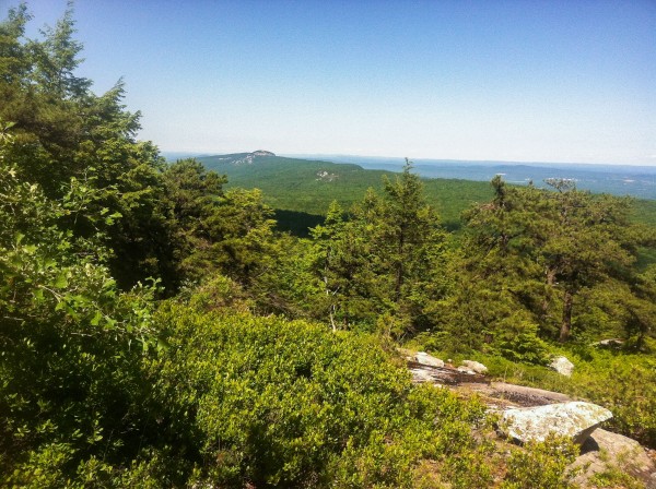 Skytop from Millbrook Mountain Trail