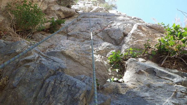 PO growing on both sides AND on the ledge &#40;out of sight in photo&#41;.