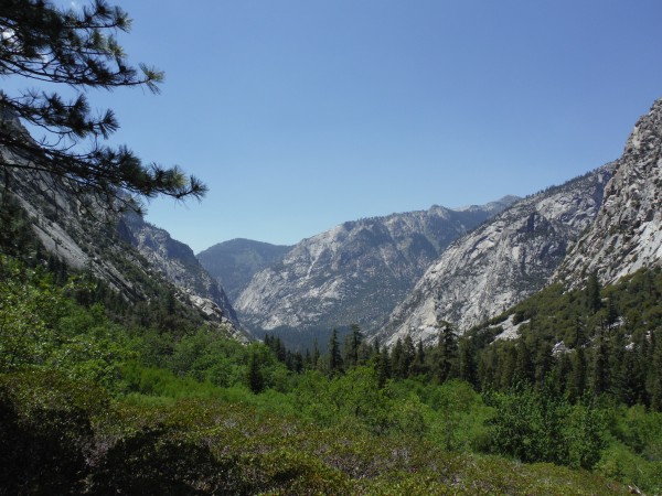 Looking down Bubbs Creek towards Roads End