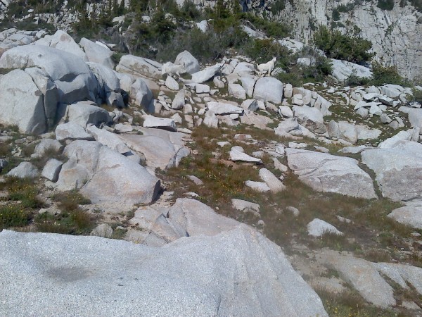 Mr. Goat just after christening my water supply with his own form of h...