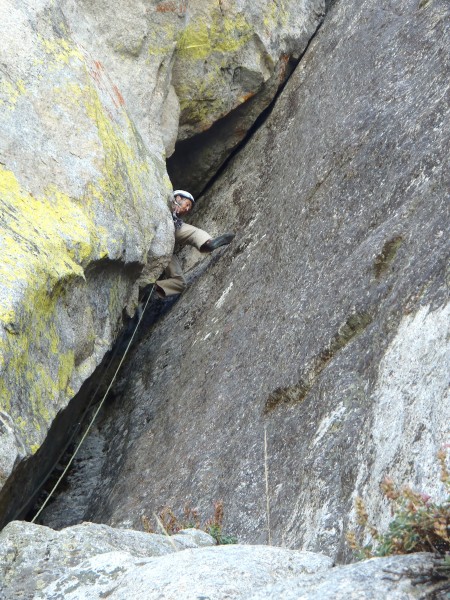 Tom cruising chimney just below the roof.