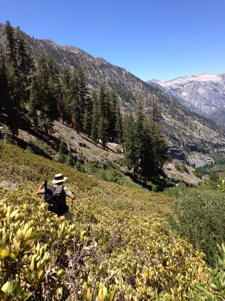 Bushwhacking down Cartridge Creek. Few people go down this... we found...