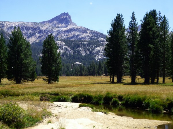 Hawksbeak Peak from Upper Piute Meadow