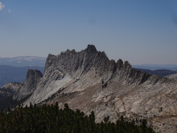 Matthes from Cockscomb