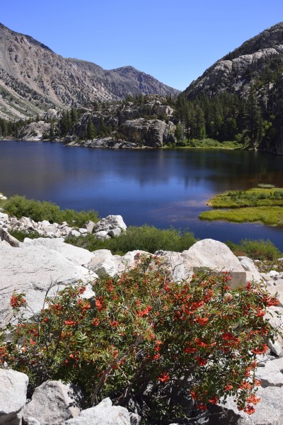 Barney Lake