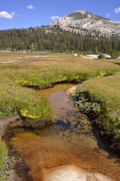 Kerrick Meadow